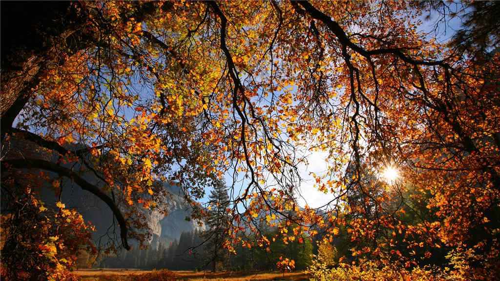 美丽的秋日风景壁纸