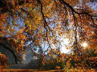 美丽的秋日风景壁纸