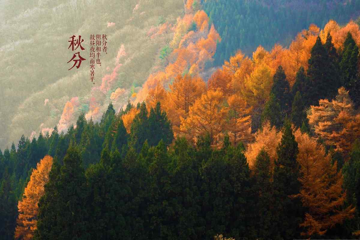 二十四节气之秋分唯美风景壁纸