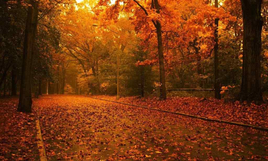 二十四节气之秋分风景壁纸
