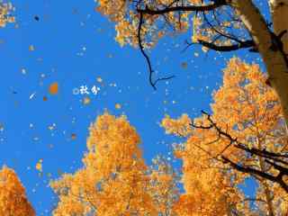 秋分节气之美丽天空图片壁纸