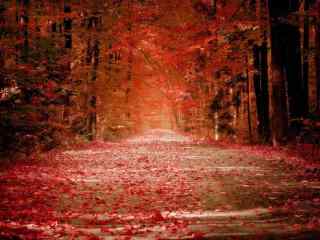 秋分节气之唯美风景图片壁纸