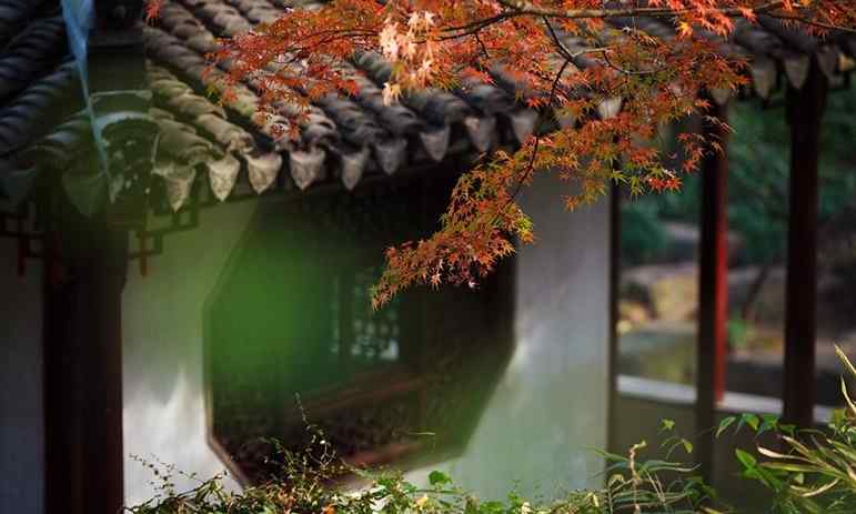 秋日庭院风景唯美桌面壁纸