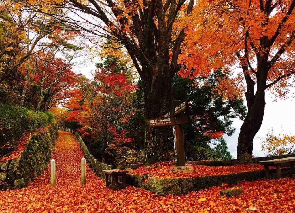美丽的秋日山间风景壁纸