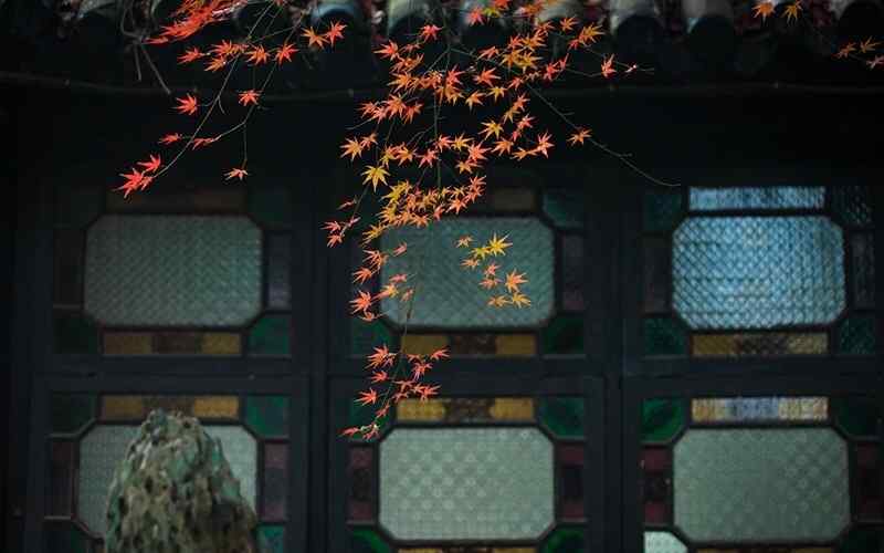 唯美的秋日庭院风景壁纸