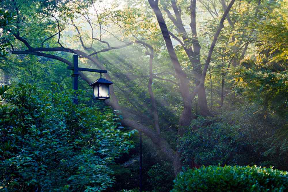 美丽的杭州灵隐寺清晨风景壁纸