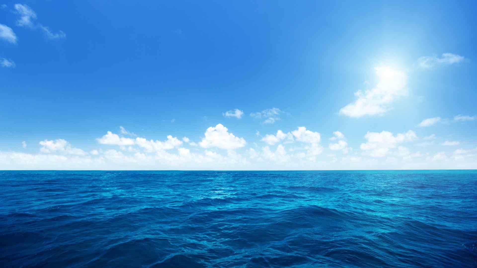 蔚蓝的大海,阳光,棕榈树,沙滩海岸,海洋天空,5K风景高清壁纸-千叶网