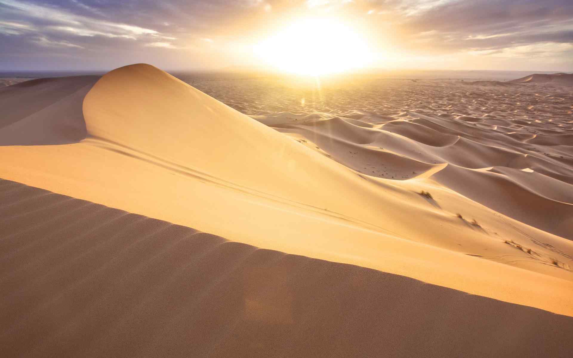 沙漠中阳光风景桌面壁纸