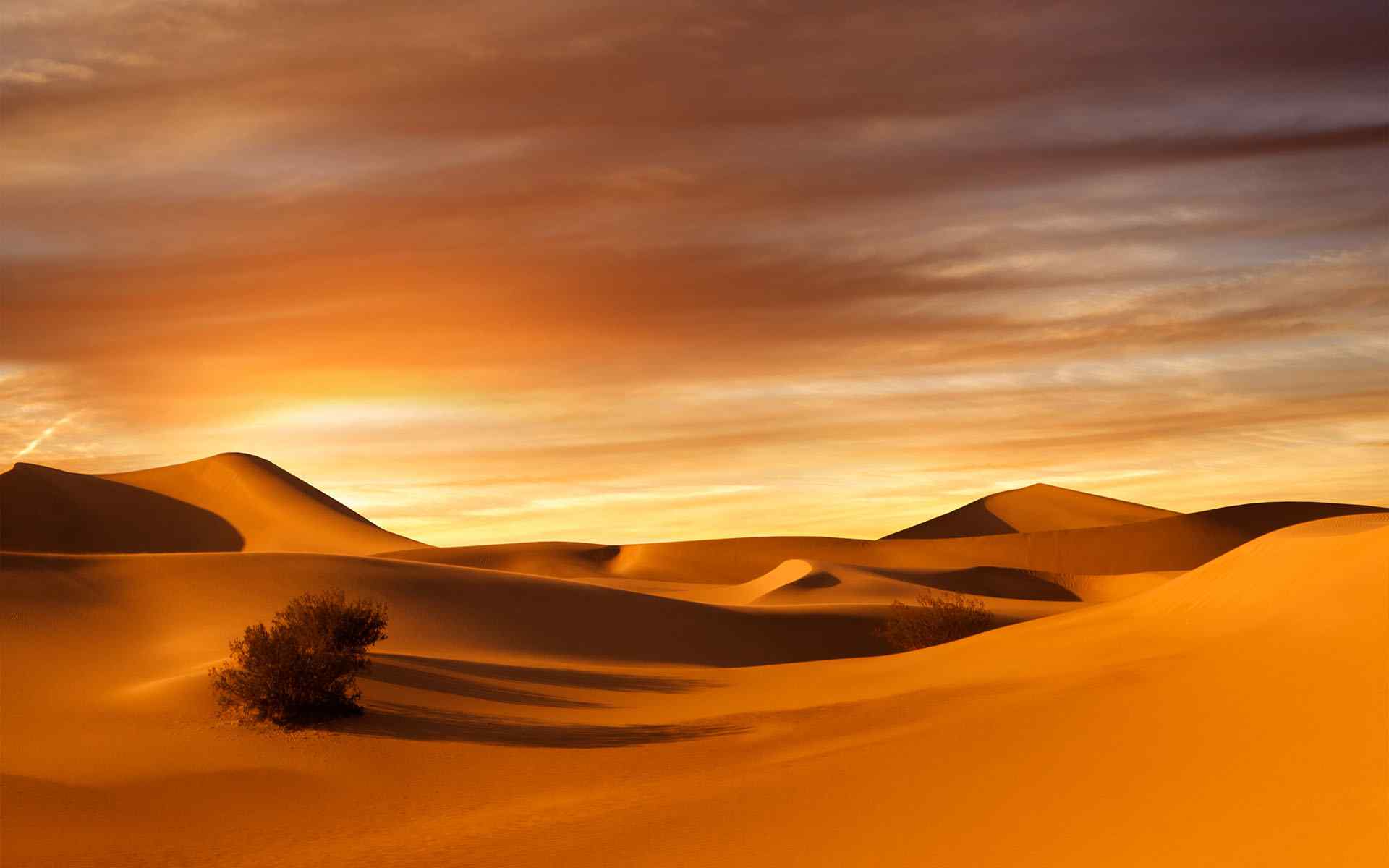 热带沙漠风景高清图片桌面壁纸