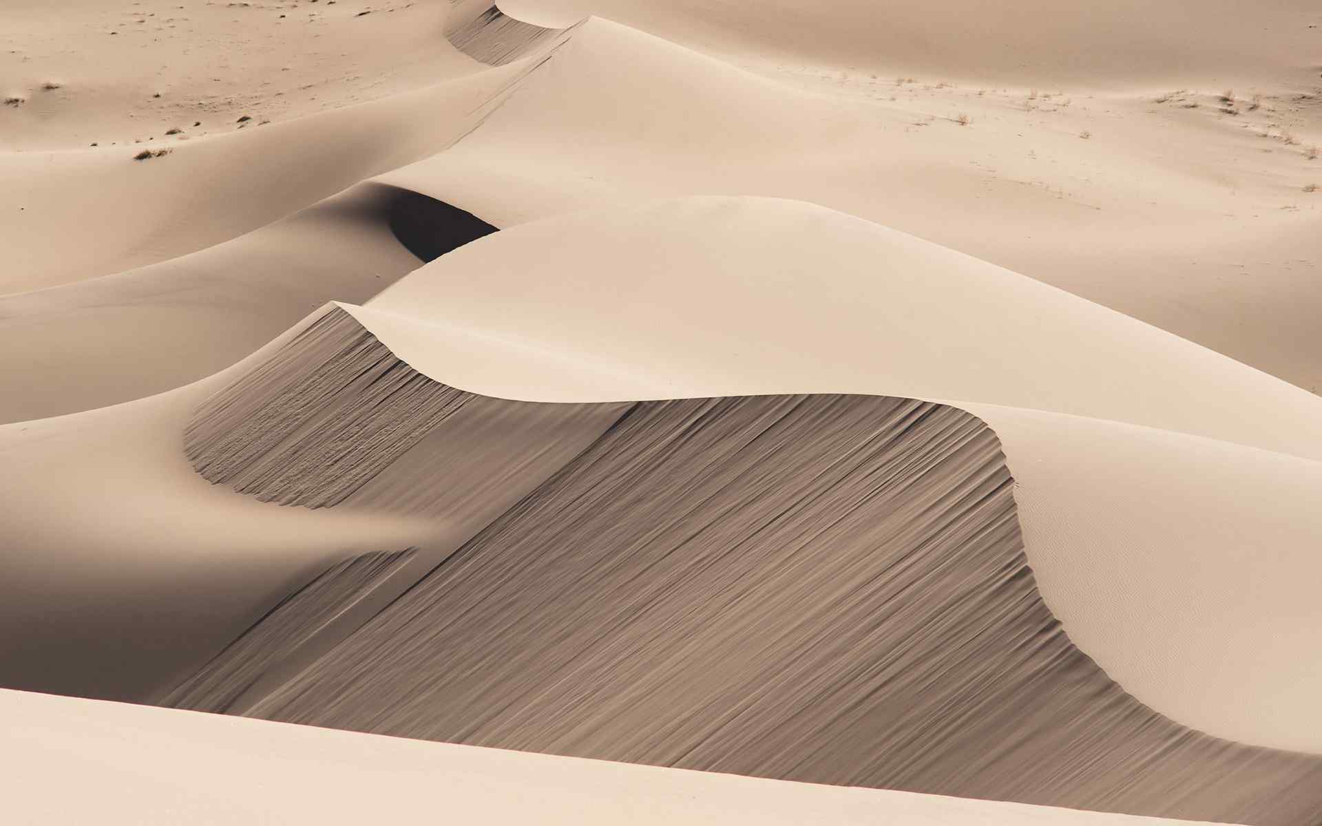 热带沙漠风景图片桌面壁纸