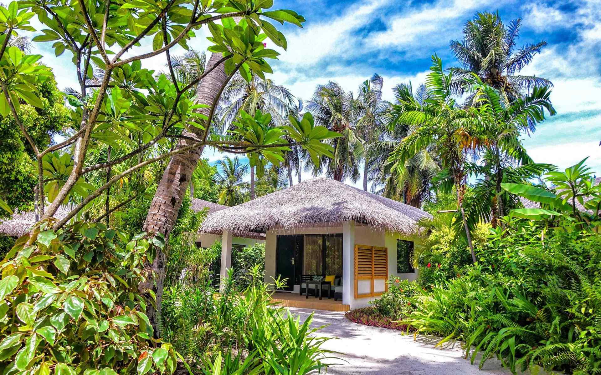 马尔代夫丛林小屋唯美风景高清壁纸