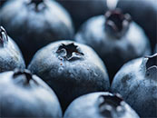 水果蓝莓超清写真