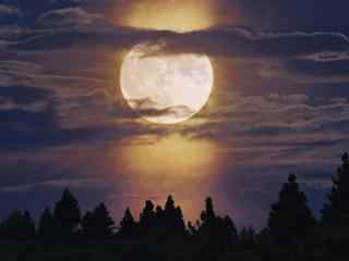 美丽月光风景图片