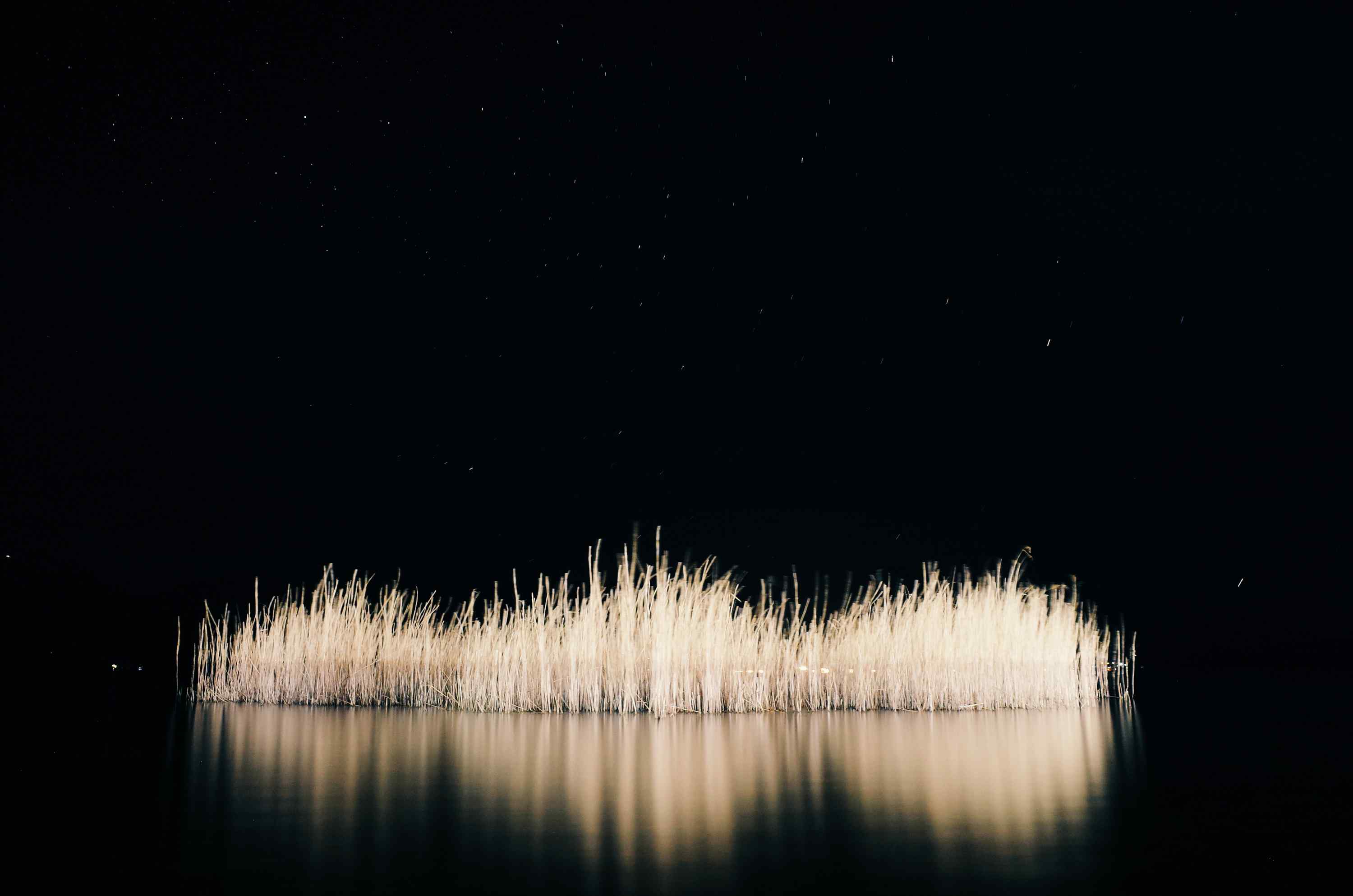 泸沽湖上的星空与芦苇桌面壁纸