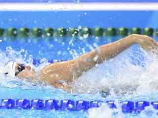 里约奥运新晋段子手游泳选手傅园慧桌面壁纸