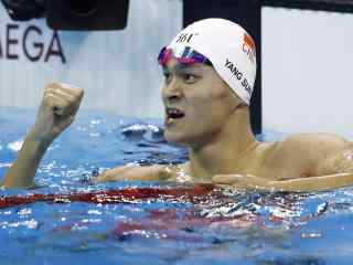 奥运冠军孙杨自由泳夺金泳池欢呼桌面壁纸