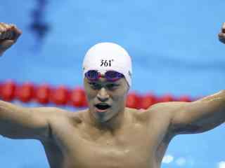 里约奥运冠军孙杨泳池振臂欢呼比赛图片桌面壁纸