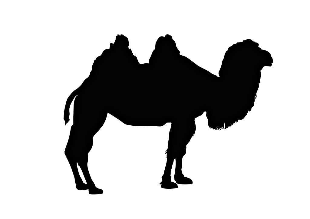 创意骆驼像素图片壁纸