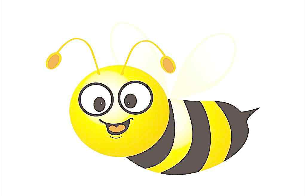 蜜蜂矢量图片_矢量壁纸